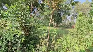 karateng summer 23