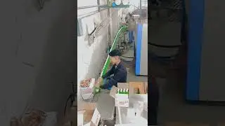 Dubai Warehouse Packing Jobs | 1000+ Vacancies | No Experience Required