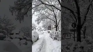 Borrasca Francis Enero 2026 #nieve #2026 #nevadas #borrascafrancis
