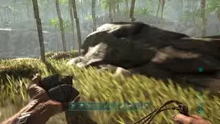 Playing ark solo for a little bit ragork