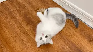 10 000 тонн милоты 😍