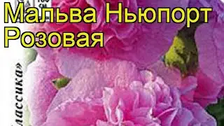 Мальва обыкновенная Ньюпорт Розовая. Краткий обзор, описание характеристик malva rosea