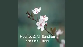 Yare Gidin Turnalar (feat. Ali Saruhan)