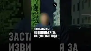Водителя Malibu заставили извиняться на камеру за нарушение ПДД