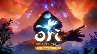 Ori and the Blind Forest: Definitive Edition #2