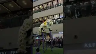 2025 Seletar Mall SG MSIA 1st Acrobatic Southern Lion Dance Championship | 利达广场 首屆 新马 南狮 高桩 錦標賽