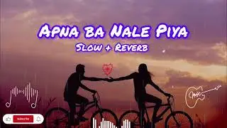 Slow Reverb Song 💖🎀 | Apnaba Nale Piya 2026 #viral song 