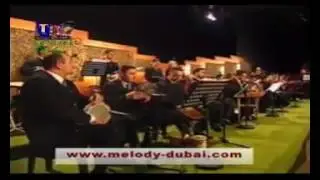 نهاد نجار الي ضرب ضرب