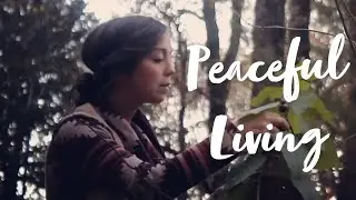 How to Find Peace with a Walk in the Pines - How One Homemaker Finds Contentment