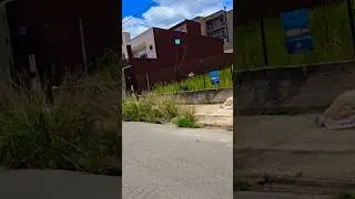 This one's got speed, you know 😬 #kites #video #viral #shortvideo #shorts #art #funny #fyp
