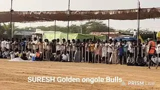 ఉత్తనూరు న్యూ కేటగిరి విభాగం 7 వ జతగా పులికల్లు రంగన్న  పులికల్ గ్రామం ఐజ మండలం జోగులాంబ గద్వాల జిల్