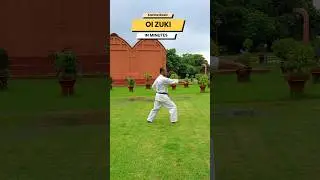 Oi Zuki ✅️ || Basic Karate Moves For Beginners #shorts #karate #trending