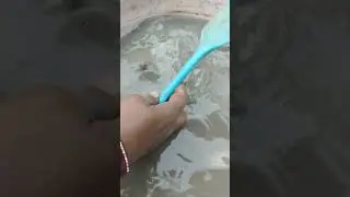 chamus||😱 best oddly satisfying video|😱#trending #oddlysatisfying #viral #youtubeshorts #shorts😱😱