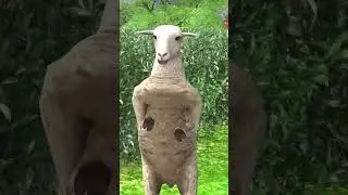 #shorts l Funny Cartoon Reels l Dog And Goat l Funny l Kids l #trending l #reels l #Video l #viral l