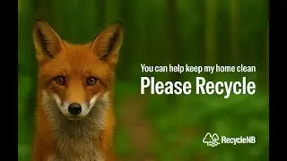 Recycle Electronics & More​