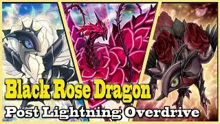Black Rose Dragon (Junio 2021) Replays and Decklist.