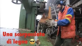 Una scorpacciata di legna 🪵 🔥 Landini 2-55 con sega a nastro