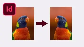 How to Flip an Image In Adobe InDesign