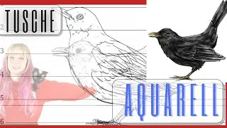 Einen Vogel zeichnen/malen lernen mit Tusche/Aquarell/Bleistift: Vogel in Bewegung-Anfänger Tutorial