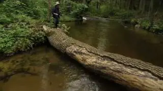 Ambient music video from Lithuania