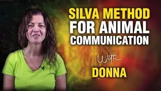 Silva Method for Mental Texting with Animals: Donna's Experience