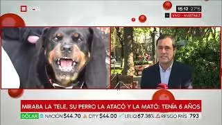 Un perro cruza de Dogo y Rottweiler mat&oacute; a una nena de 6 a&ntilde;os