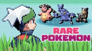 Understanding the Safari Zone in Pok&eacute;mon Emerald
