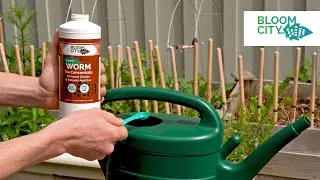Bloom City | Worm Tea Concentrate | Organic Plant Supplement