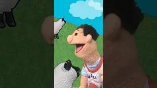 Sheep