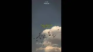 G - JAY - Thank god (Official music video lyrics) [2024]