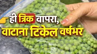 हि ट्रिक वापरा वाटाणा वर्षभर टिकेल 😊 | Frozen Peas | @Priyashomerecipes 