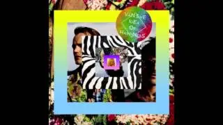 Van She - Idea of Happiness (Robotaki Remix)
