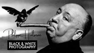 Black and White Photography - 