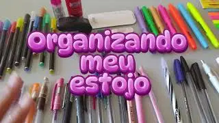 Organizando meu estojo comigo ✨✏️#papelaria #materialescolar #aula #shopee #estojo #organização