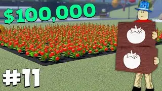 Помидор — ОТЛИЧНЫЙ выбор для начинающих игроков! Фермерство и друзья (Roblox) [11]