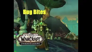 World of Warcraft. Quests - Bug Bites