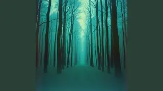 The Space Between Heartbeats