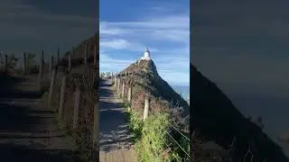 Nugget Point