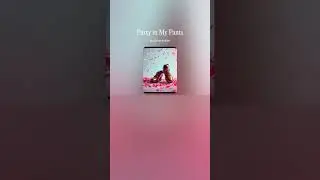 SlamiNatioN - Party in My Pants