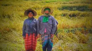 Kowit Maechaem Farmhouse - Mae Chaem - Thailand