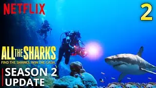 All the Sharks Season 2 Update And New Annoucement