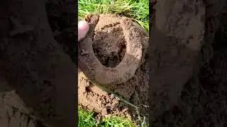 NOT ONE BUT TWO #detecting #shorts #shortsvideo #subscribe  #metaldetecting #horseshoe