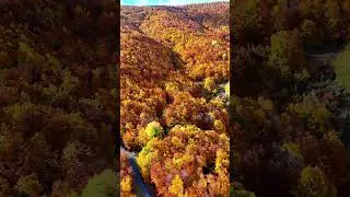 Autumn color's 🍁#autumncolors #salijonuzi #mavrovo #macedonia #albania #galicnik #djimini4pro
