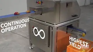 Peeling and cutting machine for ripe mango  Mod. MALVER