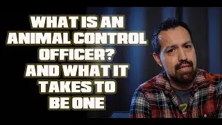 What Is An Animal Control Officer?