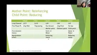 Child-Mother Point Selection for Acupuncture Manipulation