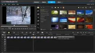 SQIRLZ TUTORIAL