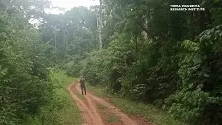 Missouri archaeologists find evidence of lost city in the Amazon