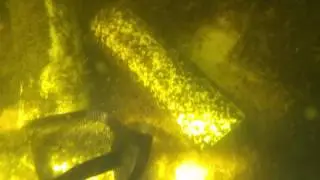 Jade Perch (Barcoo Grunter) in a simple IBC aquaponics system