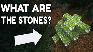 THE ETERNAL MYSTERY OF STONES IN THE MEGA-TAIGA - Minecraft Theory